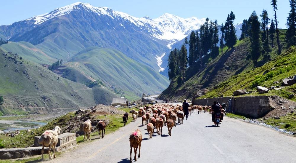 Home - Discover Pakistan