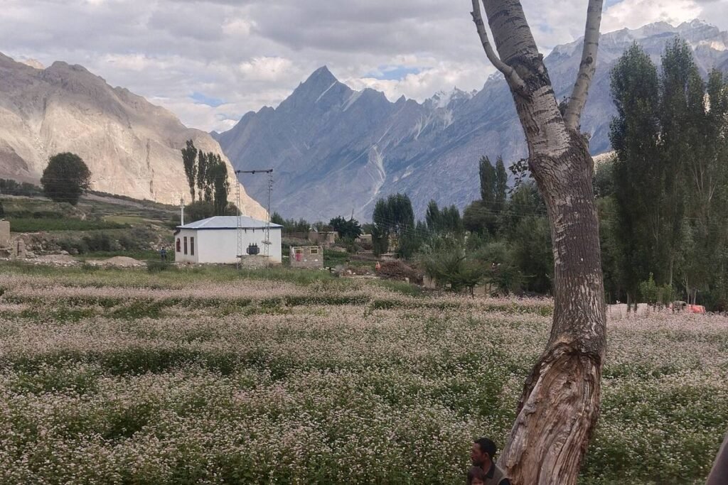 Askole Skardu on the way to K2 Trek the best travel Place in Pakistan